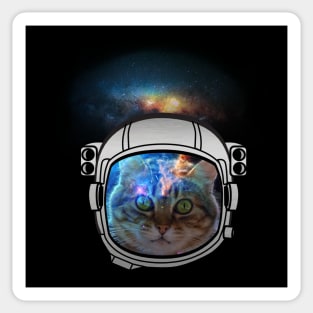 Curious Cat Space Traveler Sticker